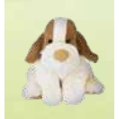 CAGNOLINA BIANCA ESTRAIBILE