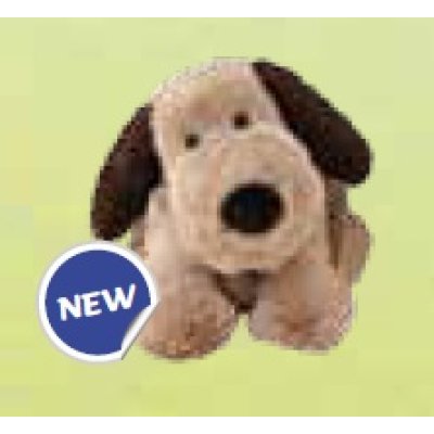 CANE MARRONE ESTRAIBILE