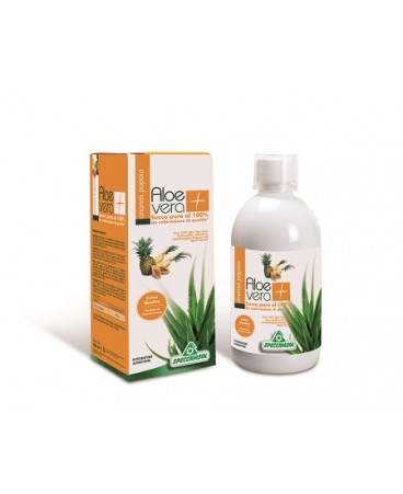 SUCCO ALOEVERA+ ANAN/PAP1000ML