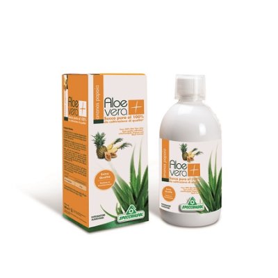 SUCCO ALOEVERA+ ANAN/PAP1000ML SUCCO ALOEVERA+ ANAN/PAP1000ML