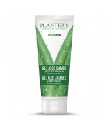 PLANTERS GEL FREDDO GAMBE ALOE