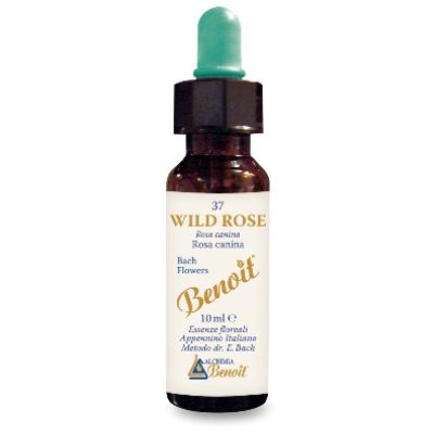 BENOIT FIORI DI BACH WILD ROSE BENOIT FIORI DI BACH WILD ROSE