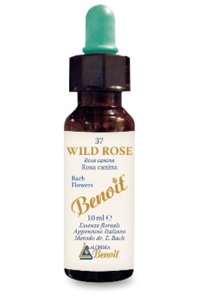 BENOIT FIORI DI BACH WILD ROSE BENOIT FIORI DI BACH WILD ROSE
