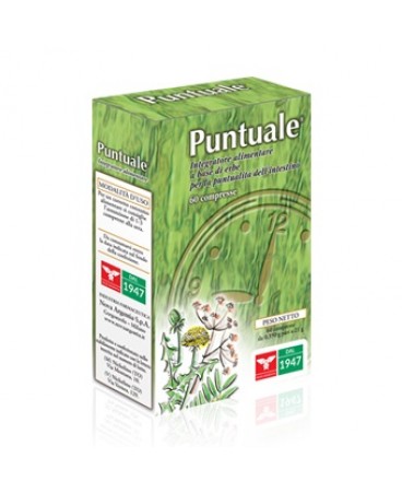 PUNTUALE 60CPR