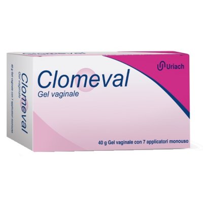 CLOMEVAL GEL VAGINALE