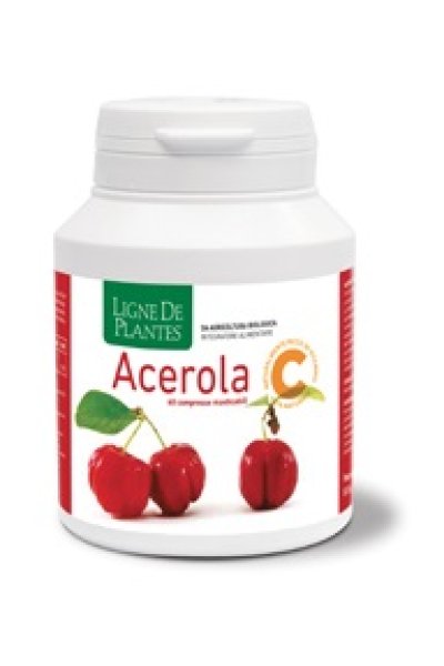 ACEROLA BIO 60CPR MASTICABILI< ACEROLA BIO 60CPR MASTICABILI<