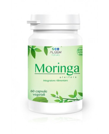 MORINGA OLEIFERA 60CPS ALGEM