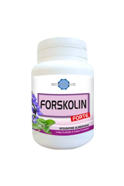 FORSKOLIN FORTE 60CPS FORSKOLIN FORTE 60CPS