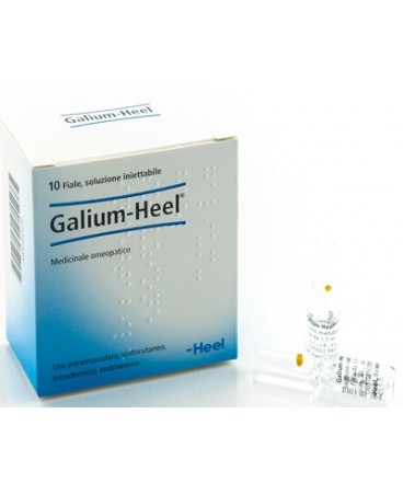 GALIUM 10FL HEEL