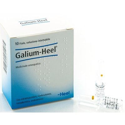 GALIUM 10FL HEEL