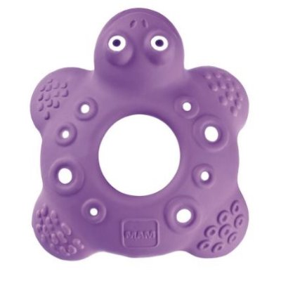 MAM BOB THE TURTLE 5+ASS