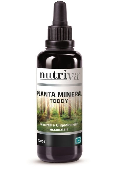 NUTRIVA PLANTA MINERAL TODDY 50M NUTRIVA PLANTA MINERAL TODDY 50M