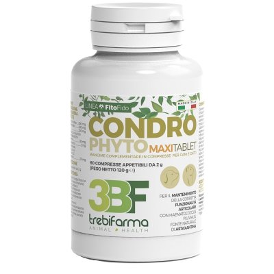 CONDROPHYTO 60CPR 2G CONDROPHYTO 60CPR 2G