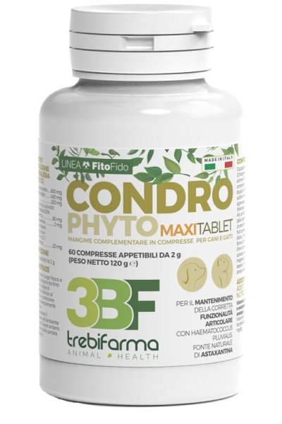 CONDROPHYTO 60CPR 2G CONDROPHYTO 60CPR 2G