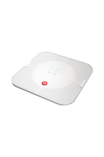 PIC BILANCIA BODYSTATION PIC BILANCIA BODYSTATION