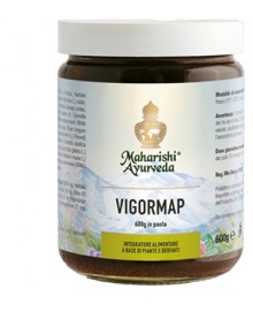 VIGORMAP PASTA 600G