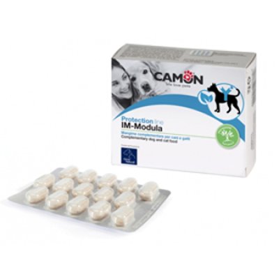 PROTECTION IM-MODULA 60 CPR PROTECTION IM-MODULA 60 CPR