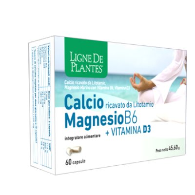CALCIO MAGNESIO B6+VITD3 60CPS CALCIO MAGNESIO B6+VITD3 60CPS