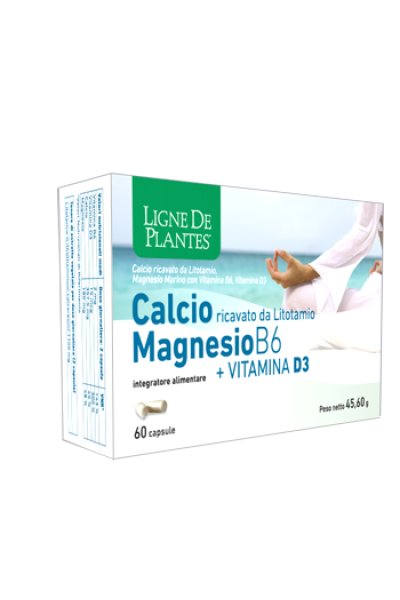CALCIO MAGNESIO B6+VITD3 60CPS CALCIO MAGNESIO B6+VITD3 60CPS