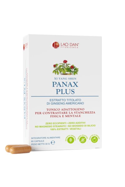 PANAX PLUS GINSENG AMER 60CPR PANAX PLUS GINSENG AMER 60CPR