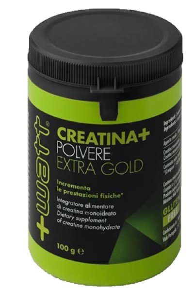 CREATINA+ POLV EXTRAGOLD 100G CREATINA+ POLV EXTRAGOLD 100G