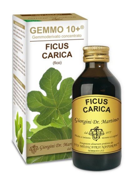 FICO 100ML LIQ ANALC GEMMO 10+ FICO 100ML LIQ ANALC GEMMO 10+