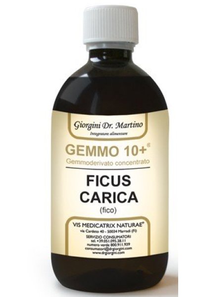 FICO 500ML LIQ ANALCO GEMMO10+ FICO 500ML LIQ ANALCO GEMMO10+
