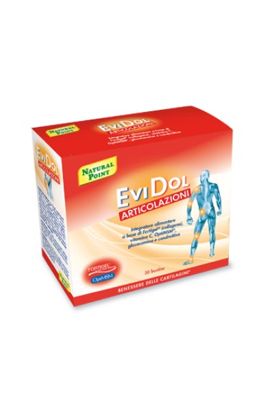 EVIDOL 20BUST NAT/ POINT EVIDOL 20BUST NAT/ POINT