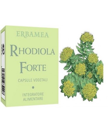 RHODIOLA FORTE CAPSULE ERBAMEA