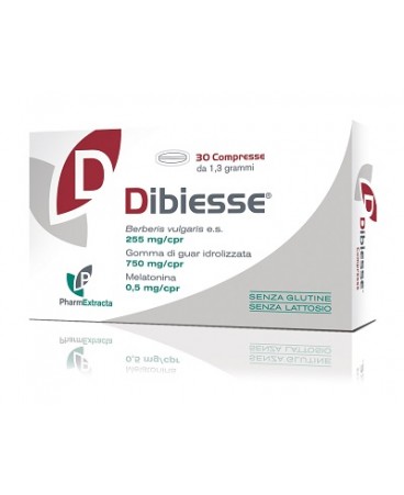 DIBIESSE 30CPR