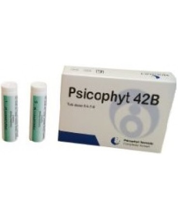 PSICOPHYT REMEDY 42B 4TUB 1,2G