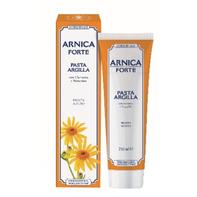 PASTA ARGILLA ARNICA FORTE PASTA ARGILLA ARNICA FORTE