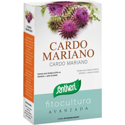 CARDO MARIANO 40CPS CARDO MARIANO 40CPS