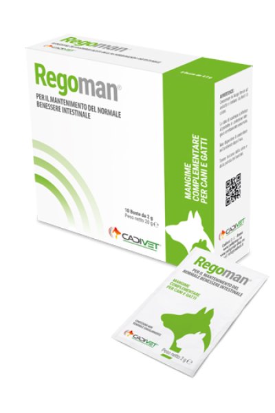 REGOMAN 10BUST REGOMAN 10BUST