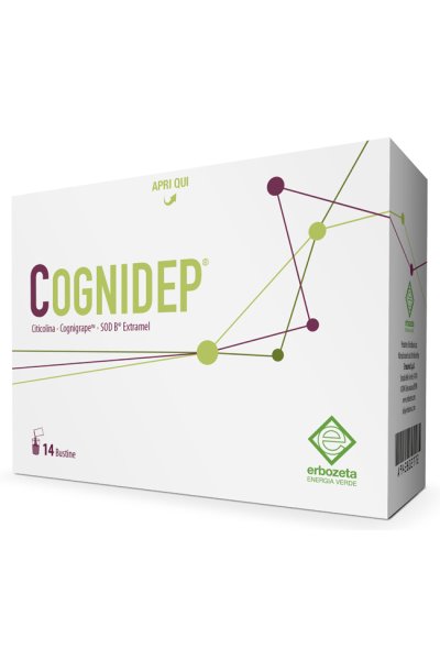 COGNIDEP 14BUST COGNIDEP 14BUST