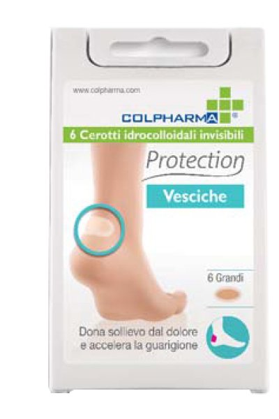 PROTECTION CER VESCICHE GRA6PZ PROTECTION CER VESCICHE GRA6PZ