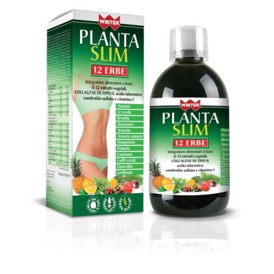 WINTER PLANTA SLIM 12ERBE 500ML