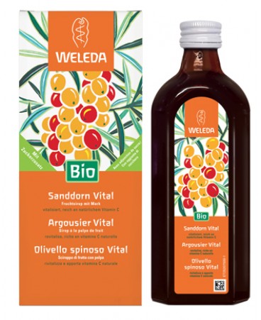 OLIVELLO SPINOSO VITAL SCIR WE