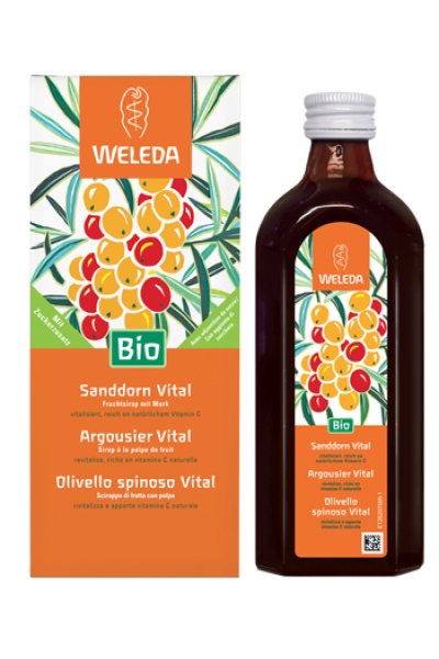 OLIVELLO SPINOSO VITAL SCIR WE OLIVELLO SPINOSO VITAL SCIR WE