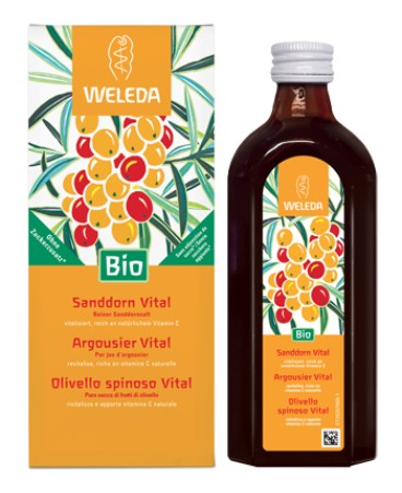 OLIVELLO SPINOSO VITAL SUCCO WE