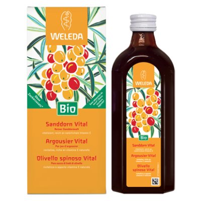 OLIVELLO SPINOSO VITAL SUCCO WE