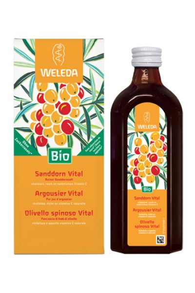 OLIVELLO SPINOSO VITAL SUCCO WE OLIVELLO SPINOSO VITAL SUCCO WE