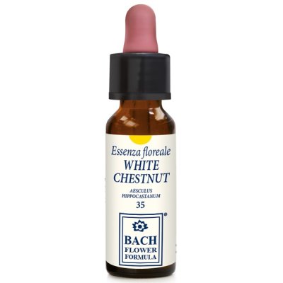 WHITE CHESTNUT ORIGINAL 10ML WHITE CHESTNUT ORIGINAL 10ML