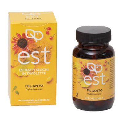FILLANTO ES 60TAV FTM FILLANTO ES 60TAV FTM