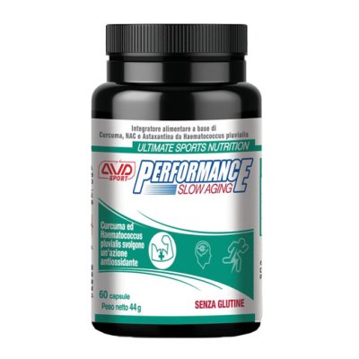 PERFORMANCE SLOW AGING 60CPS PERFORMANCE SLOW AGING 60CPS