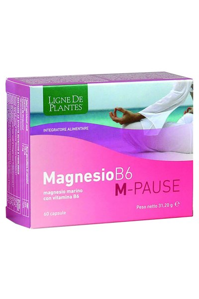 MAGNESIO B6 M-PAUSE 60CPS MAGNESIO B6 M-PAUSE 60CPS