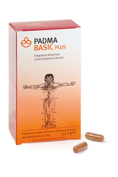 PADMA BASIC PLUS 100CPS PADMA BASIC PLUS 100CPS