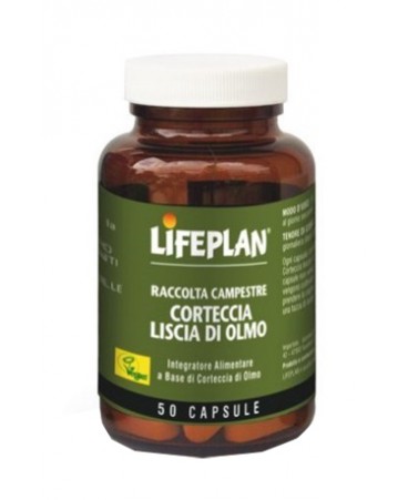 CORTECCIA OLMO 50CP LIFEPLAN