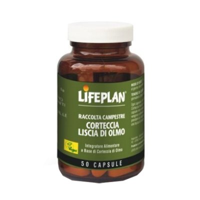 CORTECCIA OLMO 50CP LIFEPLAN CORTECCIA OLMO 50CP LIFEPLAN