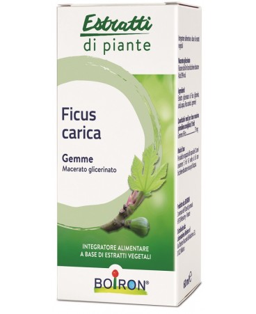 FICUS CARICA MG 60ML INT BO